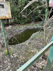 Здається будинок Бобриця, Києво-Святошинський, Київська фото 7 Здається будинок Бобриця, Києво-Святошинський, Київська фото 7