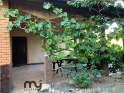 ������� ������� ������ ����, ��� ���� 20