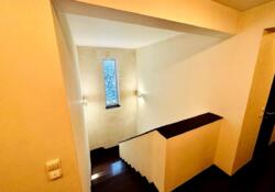 ������� ������� ��������, 33-�, �����, ����-�������������, ������� ���� 17