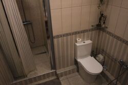 Здається будинок Дмитрівка, Києво-Святошинський, Київська фото 13 Здається будинок Дмитрівка, Києво-Святошинський, Київська фото 13