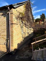 Здається будинок Карпатської Січі, Київ, м. Деміївська фото 18 Здається будинок Карпатської Січі, Київ, м. Деміївська фото 18