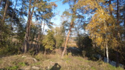    30²  ,   3,5.  25²,     8