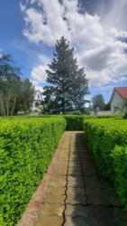 Осокорки фото 8 Осокорки фото 8