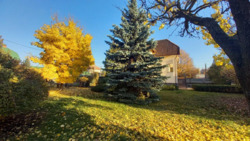 ������� ������� ���, �����������, ��. ���������, 18 ���� 3