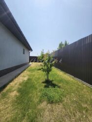 ������� ������� ���� 22