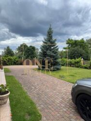 ������� ������� ���, ˳��� 1 ���� 19