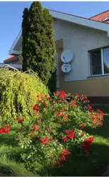 ������� ������� ������ ����� ���� 5