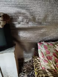 ������� ������ ��� ������ ������ ���� 1