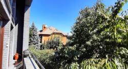 ������/�����ʼ�������/���. �����������,24 ���� 18