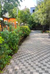 ������/�����ʼ�������/���. �����������,24 ���� 20