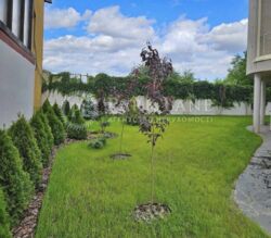 Здається будинок Київ, Добрий Шлях вул., 5, м. Голосіївська фото 8 Здається будинок Київ, Добрий Шлях вул., 5, м. Голосіївська фото 8