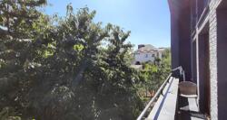 ������/�����ʼ�������/���. �����������,24 ���� 17