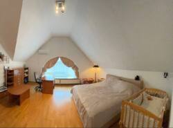 ������� ������� ˳�����, ����-�������������, ������� ���� 5