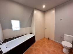 ������ ������� � �����ʼ������� ������ ���� 17