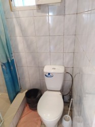   ,     ,    .   137246  11