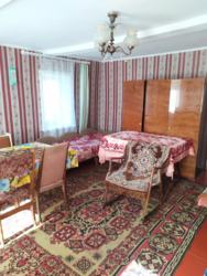   ,     ,    .   137246  10