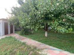 ������ ������� ���� 13