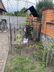 �������� � ������ ������� ������� ���� 19