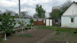 Здається будинок Полтава, Полтавська, Київський, Браїлки фото 6 Здається будинок Полтава, Полтавська, Київський, Браїлки фото 6