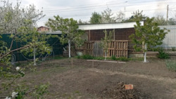 Здається будинок Полтава, Полтавська, Київський, Браїлки фото 7 Здається будинок Полтава, Полтавська, Київський, Браїлки фото 7