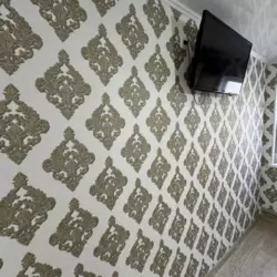 ������ ������� �� ����� ���� 12