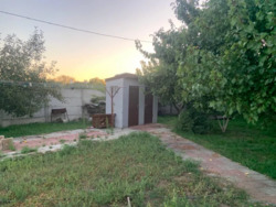 ������ ������� ���� 14