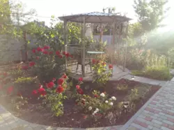 ���� ��� � ������. ��. ������ � 1316038 ���� 25