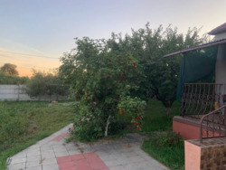 ������ ������� ���� 15