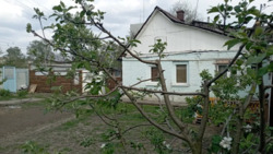 Здається будинок Полтава, Полтавська, Київський, Браїлки фото 8 Здається будинок Полтава, Полтавська, Київський, Браїлки фото 8
