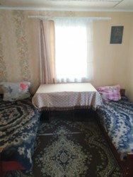   ,     ,    .   137246  4