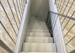     .  81,  - 1,  - 5  15