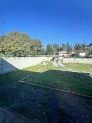 ������ ������������ ��������� �� ���. ���������� 4�, ����� 450 ��.� ���� 12