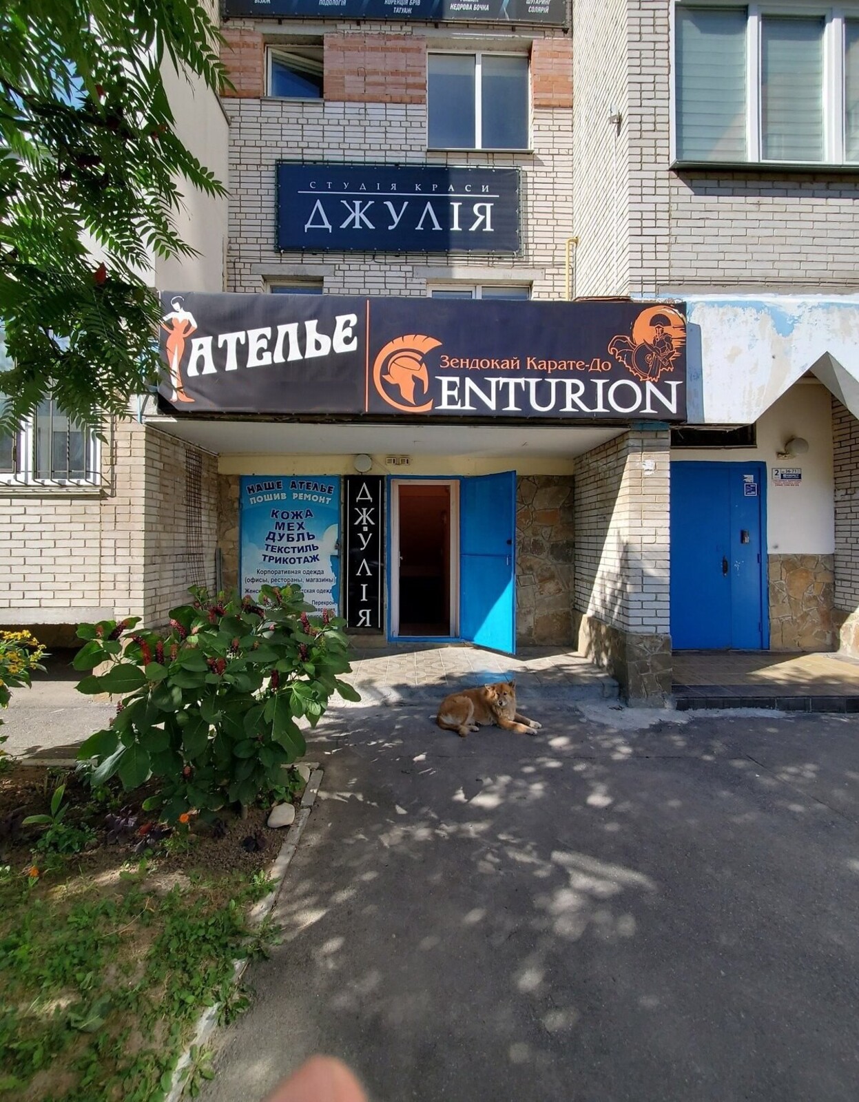 ������� ���������� ��������� �� ���. ������ 36, ����� 47 ��.� ���� 1