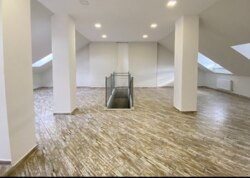     .  81,  - 1,  - 5  10