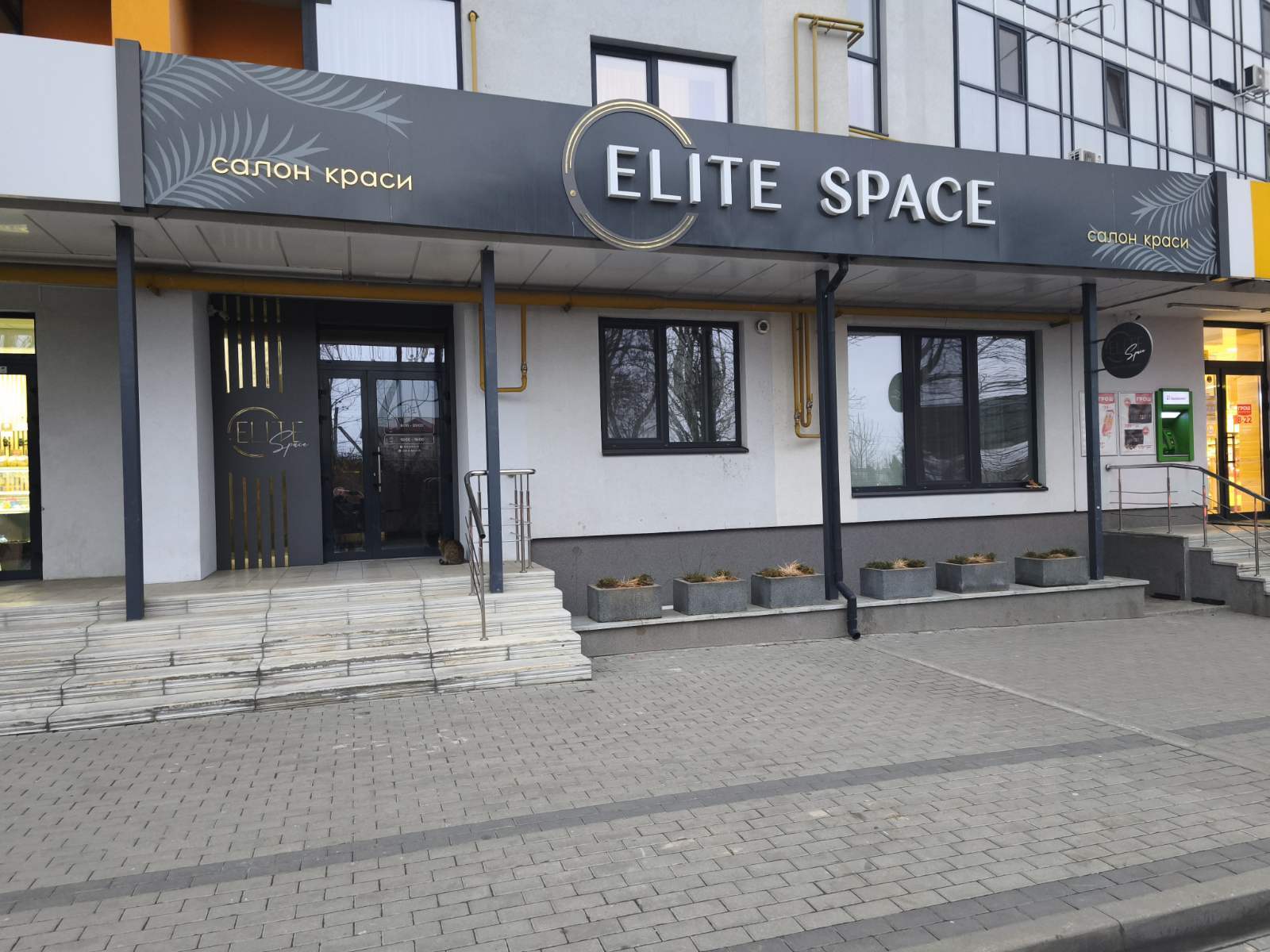 ������ ������ �����,�� ��������,���.�������� 100 ���� 1