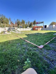 ������ ������������ ��������� �� ���. ���������� 4�, ����� 450 ��.� ���� 2