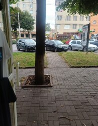 Здається комерційне приміщення на просп. Коцюбинського, площа 100 кв.м фото 2 Здається комерційне приміщення на просп. Коцюбинського, площа 100 кв.м фото 2