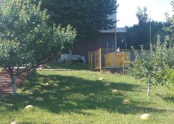 Оренда офісного приміщення на вул. Академіка Янгеля, приміщень - 40, поверх - фото 15 Оренда офісного приміщення на вул. Академіка Янгеля, приміщень - 40, поверх - фото 15