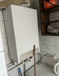 ������ �������� ��������� �� ���. ������������, �������� - 4, ������ - 1 ���� 2