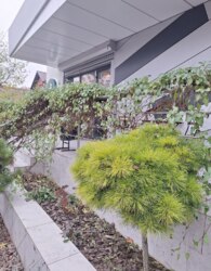 ������� ���������� ��������� ���� 6