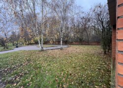 ������� ���������� ��������� ���� 29