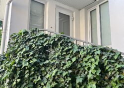 ������ �������� ��������� �� ���. ������� 76, �������� - 2, ������ - 1 ���� 19