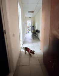 ������� ���������� ��������� �� ���. �������� ������ 16 ���� 5