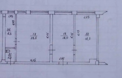 ������ ����� ���� 11