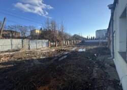 ������ ���� ������������ ����������� �� ���. ��������, ����� 15 ����� ���� 8