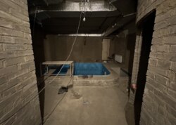     .  䳿,  81 .  1