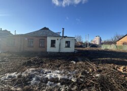 ������ ���� ������������ ����������� �� ���. ��������, ����� 15 ����� ���� 12