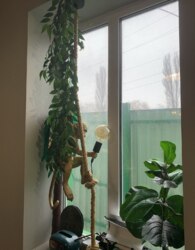 ������� ���������� ��������� �� ������ ���'������ ���� 6