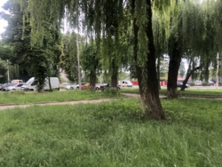 ������ ��������� �� ���. ��������, ������ 175 ��.�. ���� 4