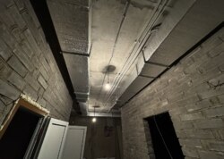     .  䳿,  81 .  8